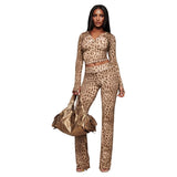 BLARE TRACKPANT - BLAZE CHEETAH — image 1